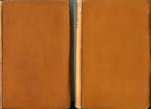 Cervantes Saavedra, Die Novellen. (Einband)