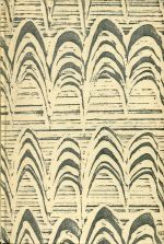 Berner Synodus. (Umschlag)