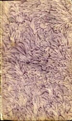 Businger, Bruder Klaus und sein Zeitalter, oder die Lebens- und Zeitgeschichte d (Umschlag)