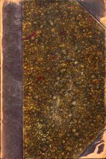 Harnack, Lehrbuch der Dogmengeschichte (Umschlag)