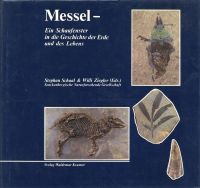 Messel. (Umschlag)