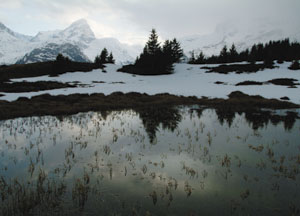bildreich karten PK 14: lai digl mestgel II, alp flix.
