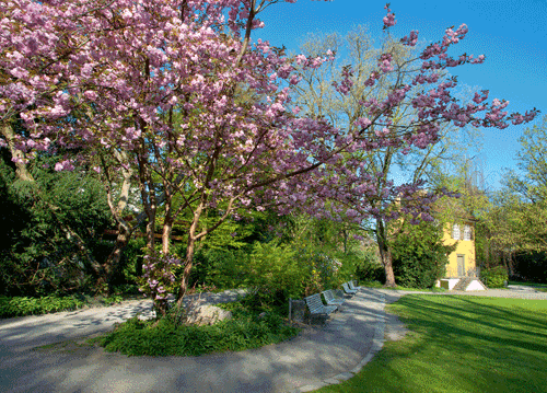 bildreich karten PK 1122: fruehlingswonne.