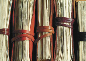 bildreich karten PK 113: tagebücher II.