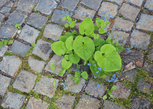 bildreich karten PK 1156: rueckeroberung II.