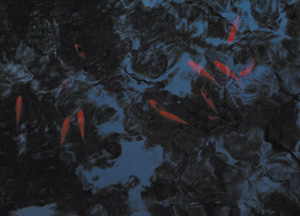 bildreich karten PK 236: nachtgewiegt II.