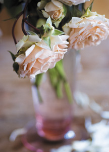 bildreich karten PK 393: conis rosen.