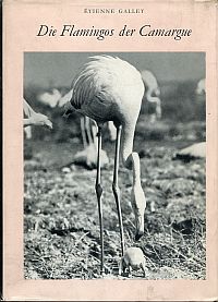 Gallet, Die Flamingos der Camargue. (Umschlag)