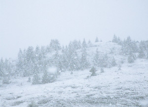 bildreich karten PK 278: alles in schneeflocken.
