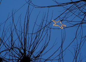 bildreich karten PK 367: sternennacht.