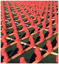 Hörl, "Eulen nach Athen tragen". (Umschlag)