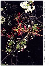 Cécile Wick, Weltgesichte, vision du monde. (Umschlag)