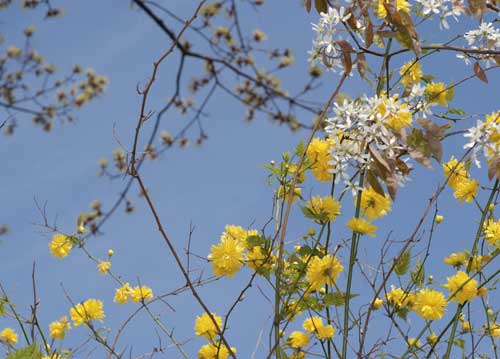 bildreich karten PK 800: erster ausflug.