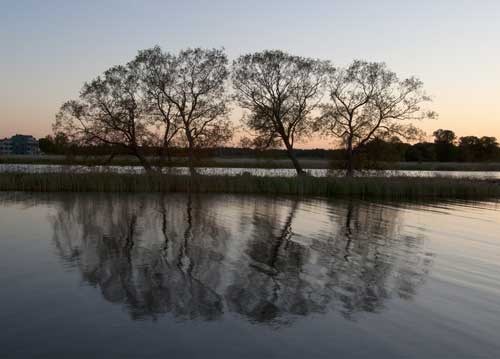 bildreich karten PK 964: corona.